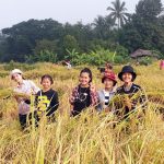 Jeunes Karens dans les rizières.