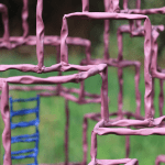 Promenade, 2020, tuyau de fer peint : Détail. © Junseok Mo