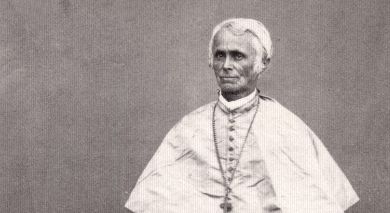 Jean-Claude Miche (1805-1873) - Un évêque missionnaire face au défi colonial indochinois